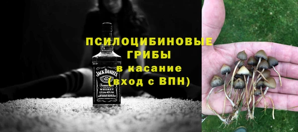 спиды Жердевка