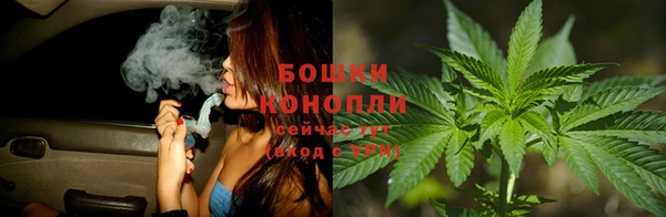 ГАЛЛЮЦИНОГЕННЫЕ ГРИБЫ Вяземский