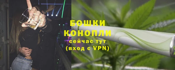 ГАЛЛЮЦИНОГЕННЫЕ ГРИБЫ Вяземский