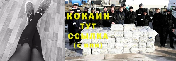 ГАЛЛЮЦИНОГЕННЫЕ ГРИБЫ Вяземский