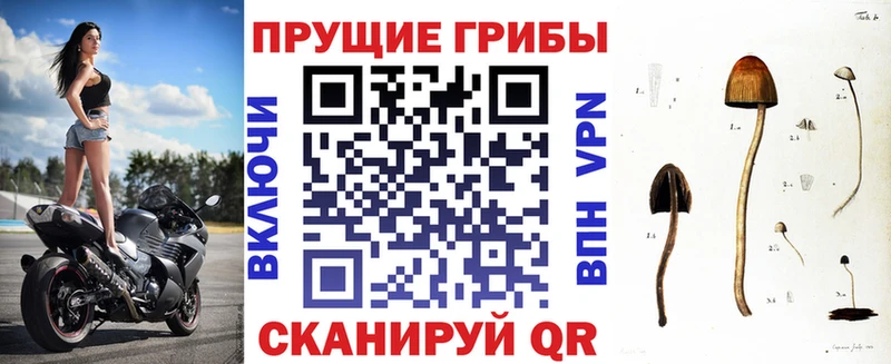Галлюциногенные грибы Cubensis darknet наркотические препараты Гуково